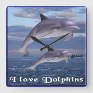 Dolphins Square Wall klok