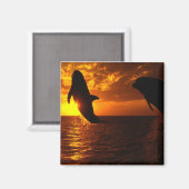 Dolphins Symphony op Sunset Magneet (Voorkant / Achterkant)
