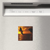 Dolphins Symphony op Sunset Magneet (Insitu (Vaatwasser))