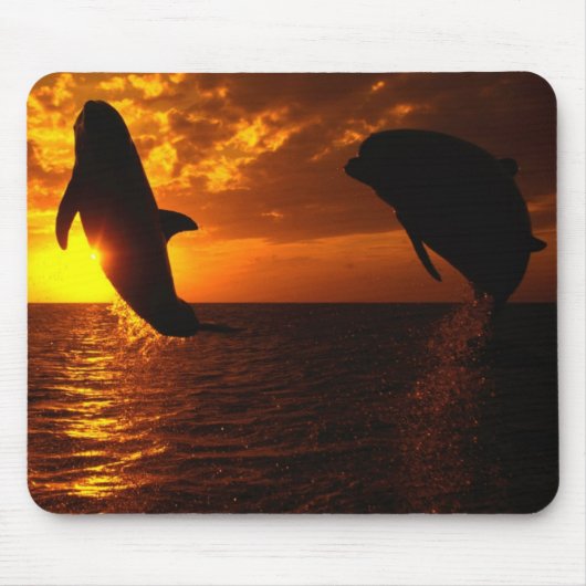 Dolphins Symphony op Sunset Muismat (Voorkant)
