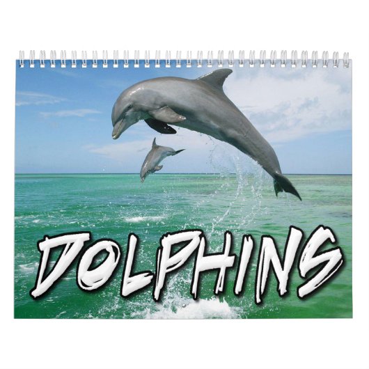 Dolphins Wall Agenda Kalender (Hoes)