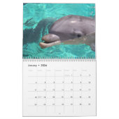 Dolphins Wall Agenda Kalender (Jan 2026)