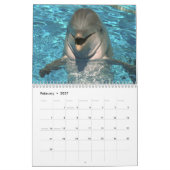 Dolphins Wall Agenda Kalender (Feb 2027)