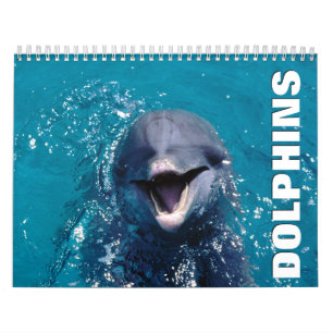 Dolphins Wall Agenda Kalender