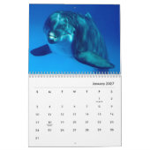 Dolphins Wall Agenda Kalender (Jan 2027)