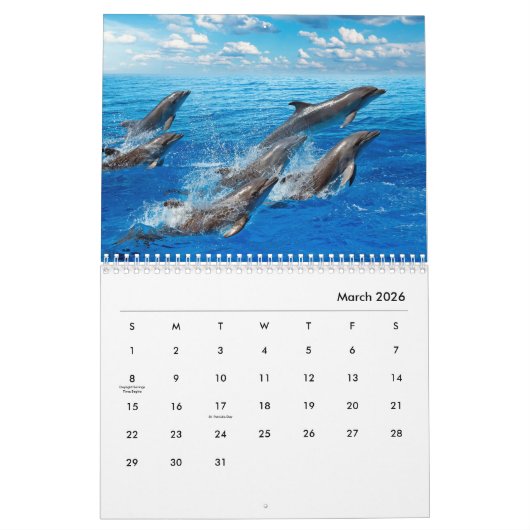Dolphins Wall Agenda Kalender (Mar 2026)