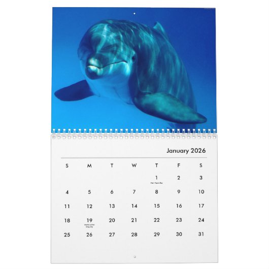 Dolphins Wall Agenda Kalender (Jan 2026)