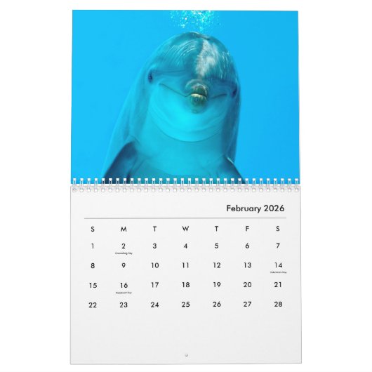 Dolphins Wall Agenda Kalender (Feb 2026)