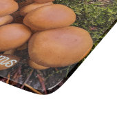 Dome Capped Brown Mushrooms Natuur Foto Snijplank (Hoek)