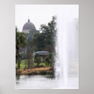 Domeinen in het park poster