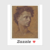 Domenico Beccafumi - Hoofd van een Jeugd Sticker (Vel)