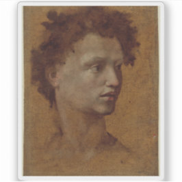 Domenico Beccafumi - Hoofd van een Jeugd Sticker