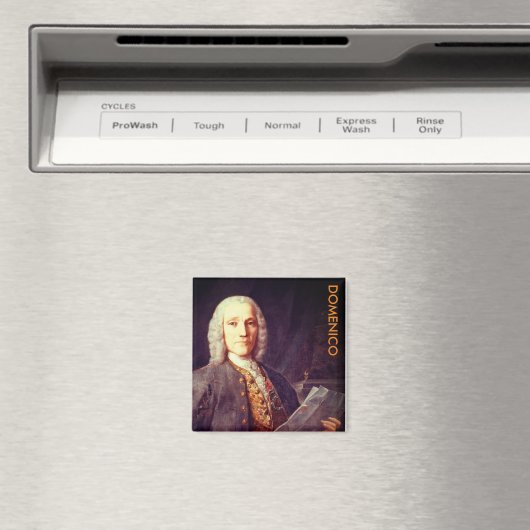 Domenico Scarlatti Magneet (Insitu (Vaatwasser))