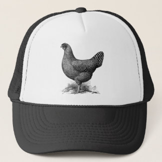 domenique kip trucker pet