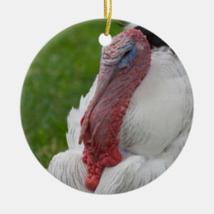 Domesticate Turkey Keramisch Ornament