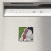 Domesticate Turkey Magneet (Insitu (Vaatwasser))