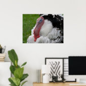 Domesticate Turkey Poster (Thuiskantoor)
