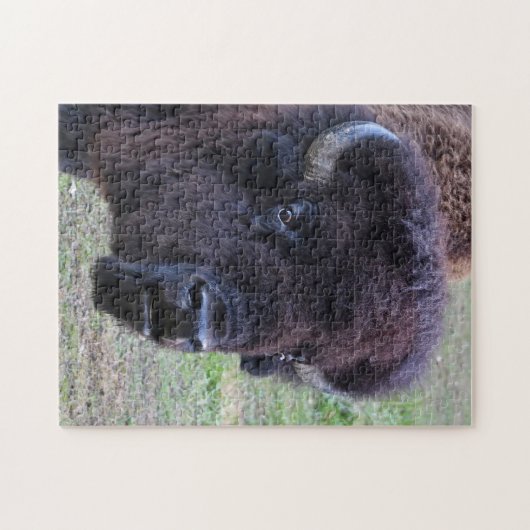 Dominant Bull Bison Legpuzzel (Horizontaal)