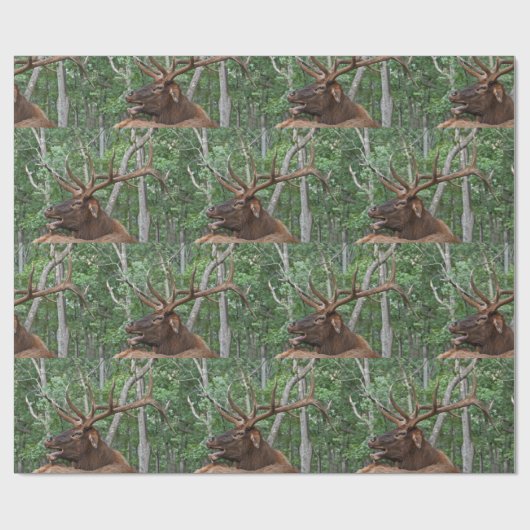 Dominant Bull Elk Cadeaupapier (Vlak)