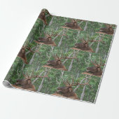 Dominant Bull Elk Cadeaupapier (Uitgerold)