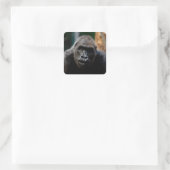 Dominant Primaat Gorilla Ape Vierkante Sticker (Tas)