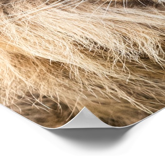 Dominate - Lion, Succes, Ondernemer, Gym Poster (Hoek)