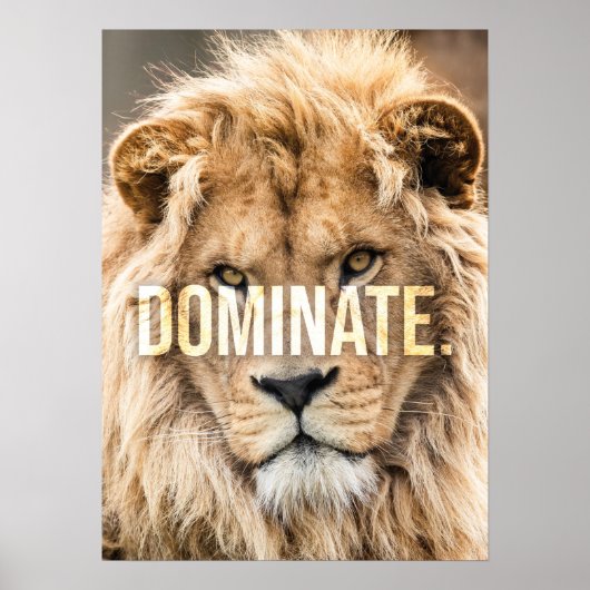 Dominate - Lion, Succes, Ondernemer, Gym Poster (Voorkant)