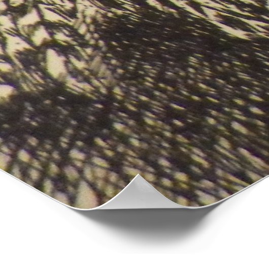 dominecker poster (Hoek)