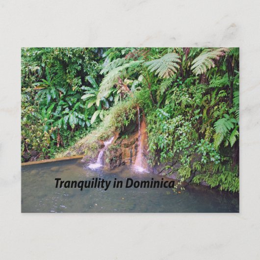 Dominica Briefkaart (Voorkant)