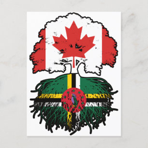 Dominica Dominican Canadian Canada Tree Roots Flag Briefkaart