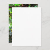 Dominica Emerald Pool Briefkaart (Voorkant / Achterkant)