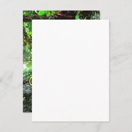 Dominica Emerald Pool Briefkaart (Voorkant / Achterkant)