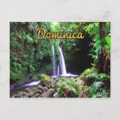 Dominica Emerald Pool Briefkaart (Achterkant)