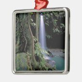 Dominica, Emerald Pool, Waterfall. Metalen Ornament (Links)