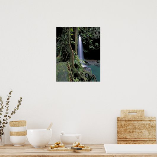 Dominica, Emerald Pool, Waterfall. Poster (Keuken)