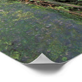 Dominica, Emerald Pool, Waterfall. Poster (Hoek)