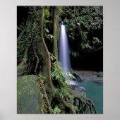 Dominica, Emerald Pool, Waterfall. Poster (Voorkant)