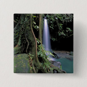 Dominica, Emerald Pool, Waterfall. Vierkante Button 5,1 Cm