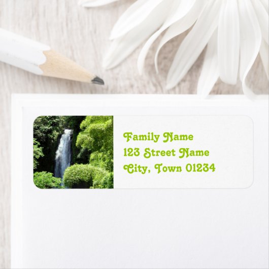 Dominica Etiket (Insitu)