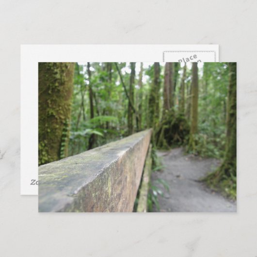 DOMINICA RAIN FOREST UITZICHT BRIEFKAART (Voorkant / Achterkant)