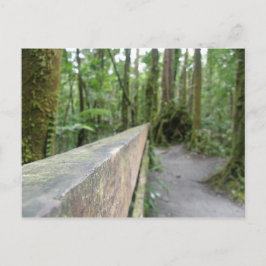 DOMINICA RAIN FOREST UITZICHT BRIEFKAART