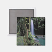 Dominica, Smaragdbron, Waterval. Magneet (Voorkant / Achterkant)