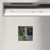 Dominica, Smaragdbron, Waterval. Magneet (Insitu (Vaatwasser))