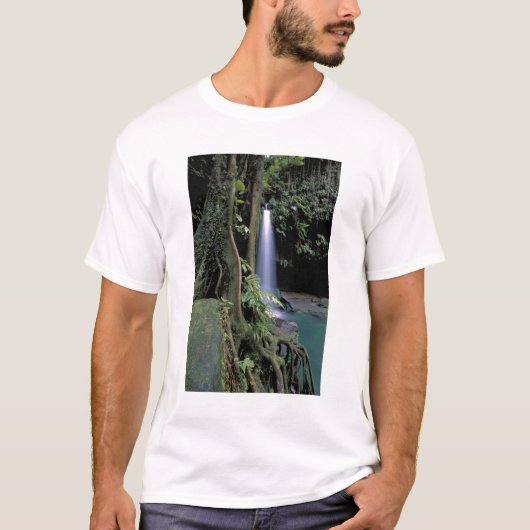 Dominica, Smaragdbron, Waterval. T-shirt (Voorkant)