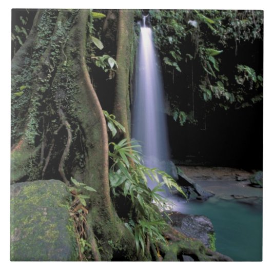 Dominica, Smaragdbron, Waterval. Tegeltje (Voorkant)