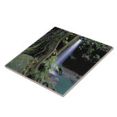 Dominica, Smaragdbron, Waterval. Tegeltje (Zijkant)