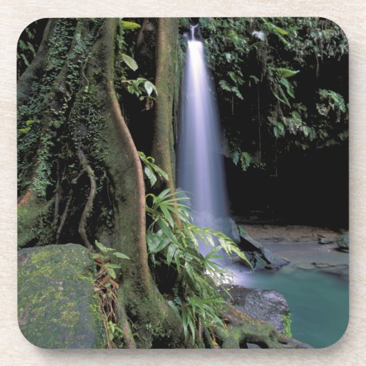 Dominica, Smaragdpoel, Waterval. Bier Onderzetter (Voorkant)
