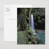 Dominica, Smaragdpoel, Waterval. Briefkaart (Voorkant / Achterkant)