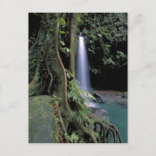 Dominica, Smaragdpoel, Waterval. Briefkaart