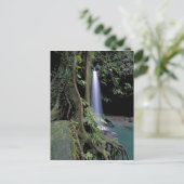 Dominica, Smaragdpoel, Waterval. Briefkaart (Staand voorkant)